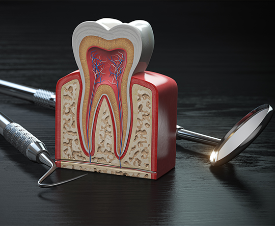 Konya kanal tedavisi işlemi - DentReal Meram Endodonti Uzmanı